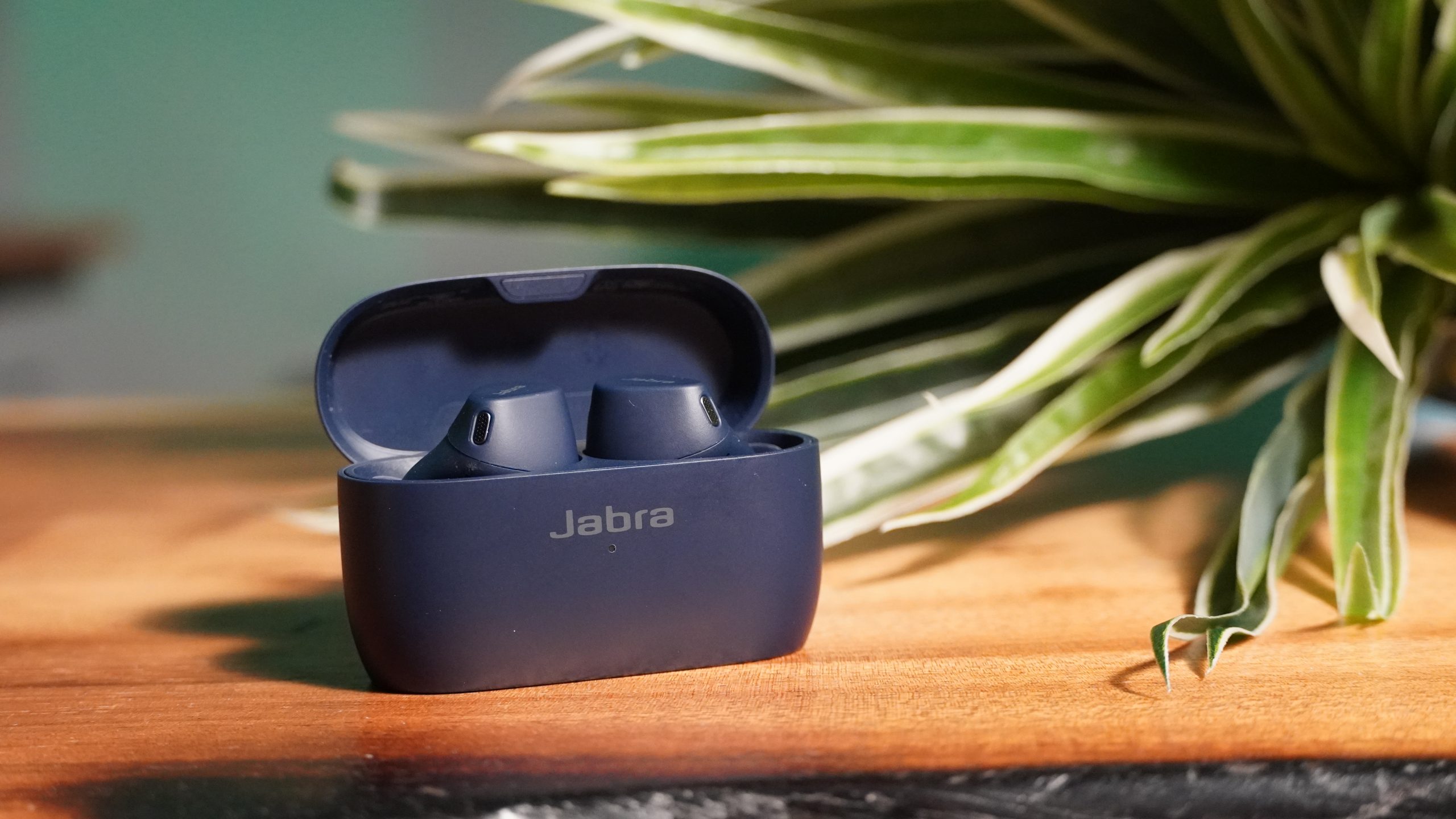 Jabra Elite 4 Active earbuds in case on a table next to a plant.